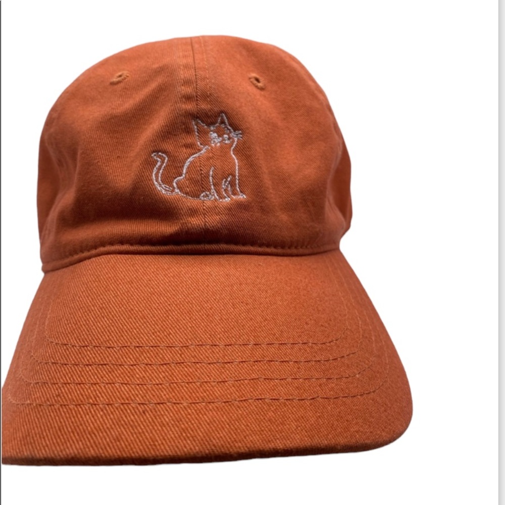 Super Cool Orange Cat Hat / Dad Hat / Novelty / Cat Lovers